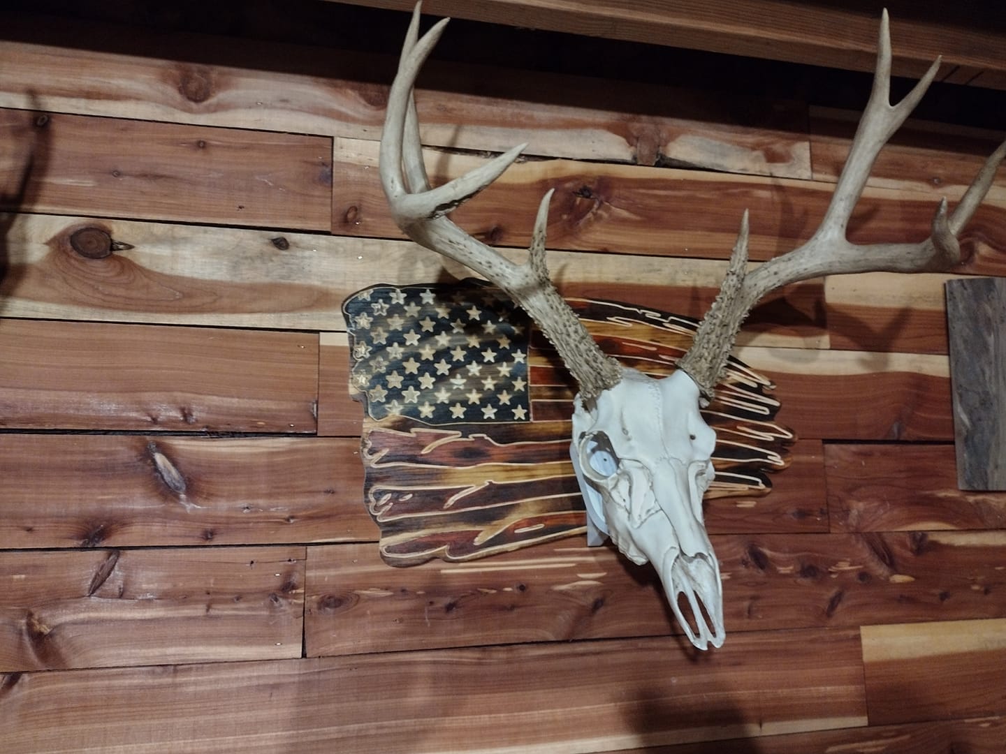 Router Spark Robotic